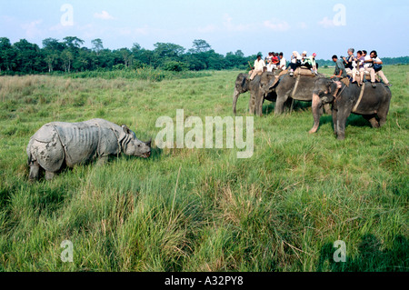 Asiatische Rhinoceros und Touristen In den Royal Chitwan Nationalpark Nepal Stockfoto