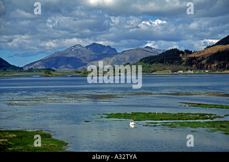 Einen schönen Sommer Blick auf Loch Leven vom Dorf von Glencoe in Schottland Stockfoto