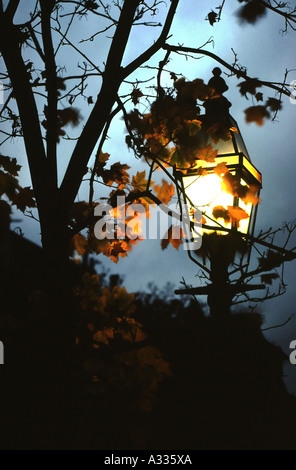 Herbstlaub Frame ein Gas-Straßenlaterne im Stadtteil Back Bay von Boston Massachusetts, USA Stockfoto