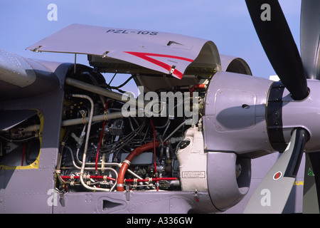 Turboprop-Triebwerk von Pratt & Whitney PT6A-65BPZL & Hartzell Propellerblätter auf eine PZL Mielec Z-28 Bryza, betrieben von der polnischen Marine Stockfoto