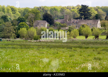 Aufrundung der Schafe an den Ufern des River Windrush im Cotswold Dorf von kleinen Barrington, Gloucestershire Stockfoto