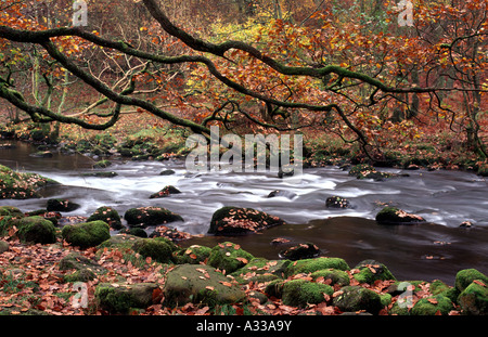 Herbst 'Fluß Rothay"zwischen Grasmere und Rydal Wasser"Lake District" Stockfoto