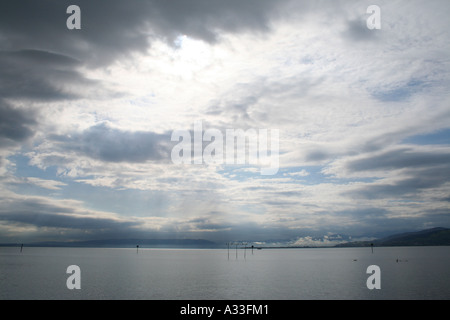 Am frühen Morgen Ansichten aus Arbon über den Bodensee, Österreich, der Schweiz, Deutschland Stockfoto