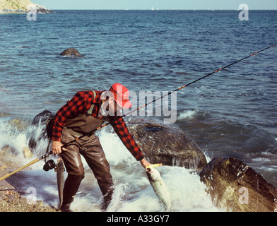 Fisch auf der Küste MR625 Stockfoto