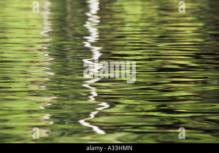 Reflexionen auf der Wasseroberfläche gewellt an Wangi Falls Tauchbecken Litchfield National Park Northern Territory Australien Stockfoto