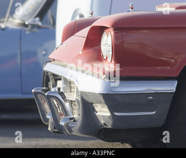 Alte klassische Schönheit Stockfoto