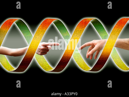 DNA Reproduktion Wissenschaft 73C Stockfoto