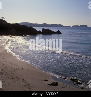 Frühen Morgen Seelandschaft auf La Romana Beach Paguera Calvia SW Mallorca Balearen Spanien Stockfoto