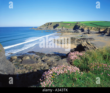 GB-CORNWALL DIE EIDECHSE DOLLAR BUCHT IN DER NÄHE VON MULLION Stockfoto