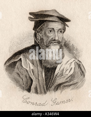 Conrad Gesner, 1516 - 1565. Schweizer Arzt, Naturforscher, bibliographer, und Philologe. Durch J W Koch eingraviert Stockfoto