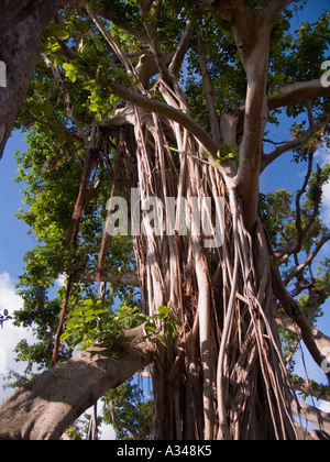West Palm Beach Stockfoto
