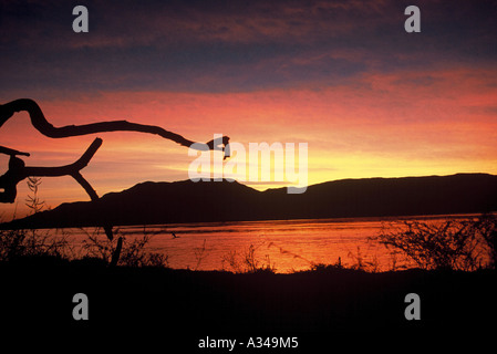 Sonnenuntergang auf dem Sambesi Stockfoto