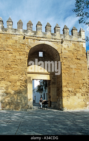 Mann und Esel zu Fuß durch die Puerta de Almodovar in der Stadtmauer, Cordoba, Spanien Stockfoto