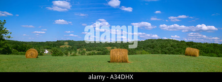 Landwirtschaft - gestapelt halbe Tonne vier Strang Ballen Luzerneheu / Holmes County, Ohio, USA. Stockfoto