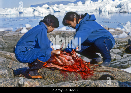 Frauen Schlachten ein Siegel in Grönland Stockfoto