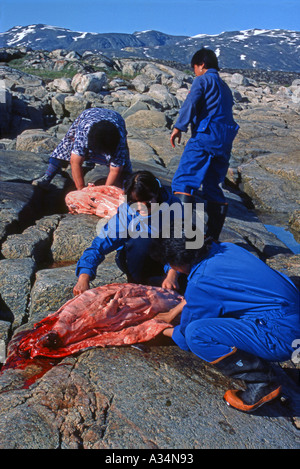 Frauen, die Schlachten von Robben in Grönland Stockfoto