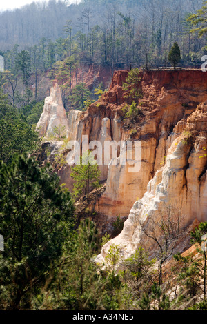 Georgiens Little Grand Canyon im Providence Canyon State Park in South Georgia USA Stockfoto