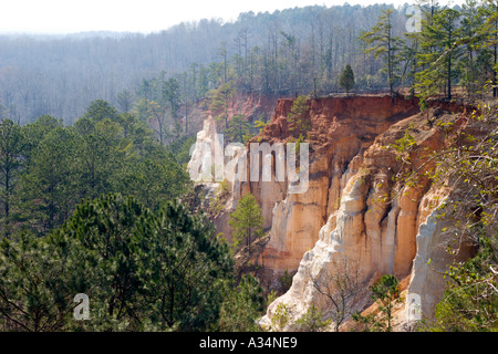 Georgia s Little Grand Canyon in Providence Canyon State Park in South Georgia USA Stockfoto