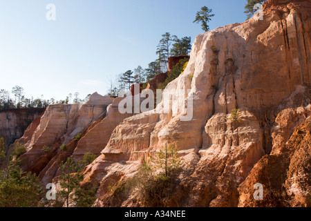 Georgia s Little Grand Canyon in Providence Canyon State Park in South Georgia USA Stockfoto