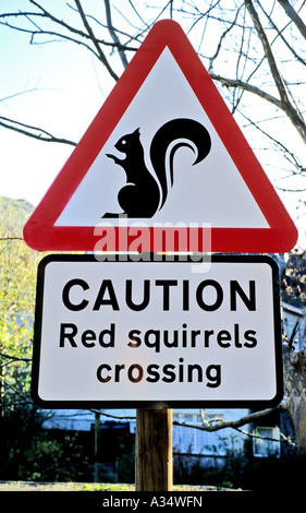 Verkehrszeichen Achtung der Präsenz der roten Eichhörnchen im Lake District England UK EU Stockfoto