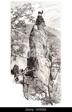 Dresden Sächsische Schweiz Bergziege entfernten Aussichtspunkt Hochgebirge Turm Stapel Alp Alpensteinböcke Schweizer Baum Rock Vantage poi Stockfoto