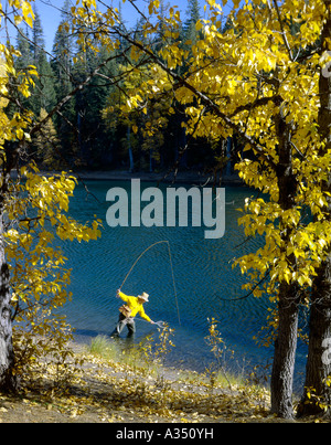 Fliegenfischer-Netting Fang am Forellensee in den Cascade Mountains von Oregon umrahmt von Herbst getönt Espe Bäume Stockfoto