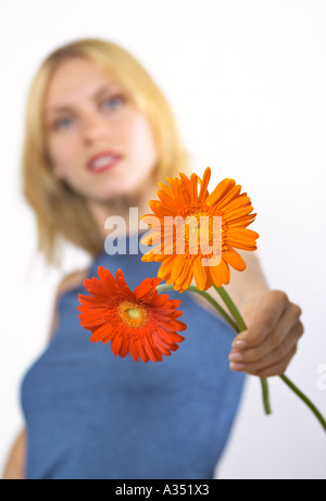 Aus Fokus Frau hält 2 Gerbera Gänseblümchen die hand ausgestreckt nach vorne. Stockfoto