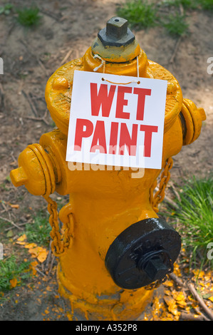 Frisch gestrichene gelbe Hydranten mit "Nasse Farbe" Zeichen aufgeklebt. Toronto, Ontario, Kanada. Stockfoto