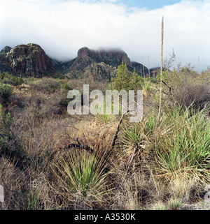 Chisos Mountains in Big Bend Nationalpark Stockfoto