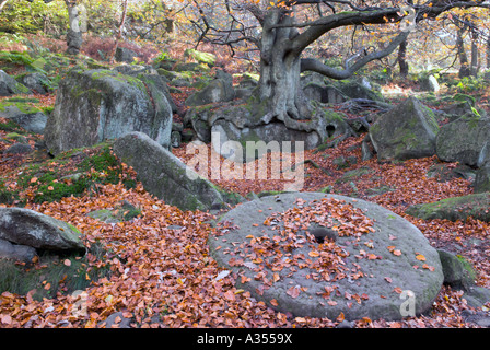 Mühlstein gefunden in Padley Wäldern in Derbyshire "Great Britain" Stockfoto