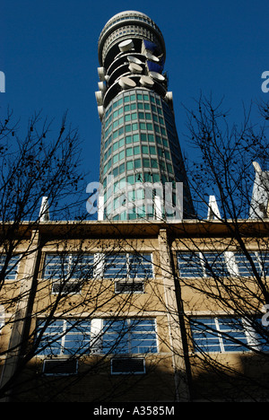 Der BT British Telecom Turm erhebt sich über nahe gelegene Gebäude und Bäume London England Stockfoto