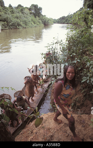 Ein Ukre Dorf Brasilien Kayapo Frauen auf eine Frucht sammeln Expedition mit Einbaum Kanu Xingu indigenen Reserve Stockfoto