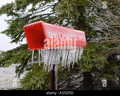 Eiszapfen Rot, tägliche Nachrichten Postfach nach einem Winter Ice Storm Evergreen und kleinen Eis bedeckt Zweige im Hintergrund Klimawandel Stockfoto