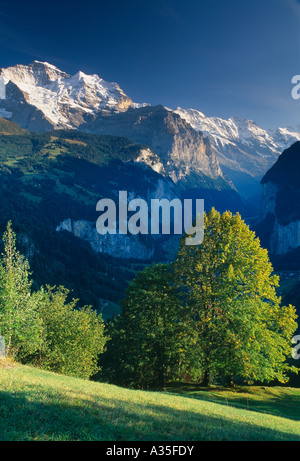 das Lauterbrunnental von Wengen Berner Oberland Schweiz Stockfoto