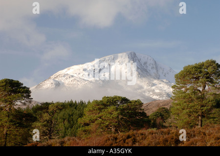 Schneebedeckte Mam Sodhail Berg erhebt sich über der Kiefer Wald von Glen Affric Inverness-Shire.  XPL 4498-425 Stockfoto