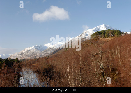 Schneebedeckte Mam Sodhail Berg erhebt sich über der Kiefer Wald von Glen Affric Inverness-Shire.  XPL 4500-425 Stockfoto