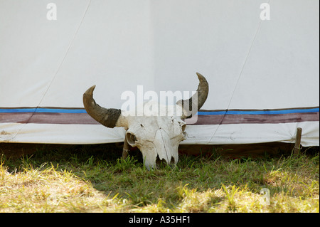 Alte Viehschädel neben einem Zelt an der Lewis und Clark Expedition Reenactment in ft. Calhoun, Nebraska Stockfoto