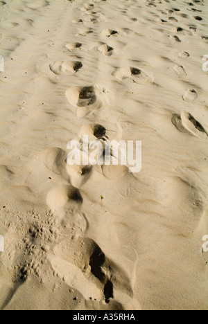Fußspuren im sand Stockfoto