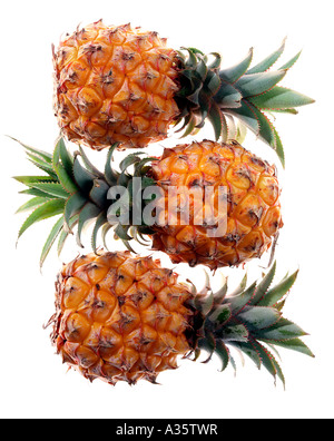 Ananas, Ananas Stockfoto