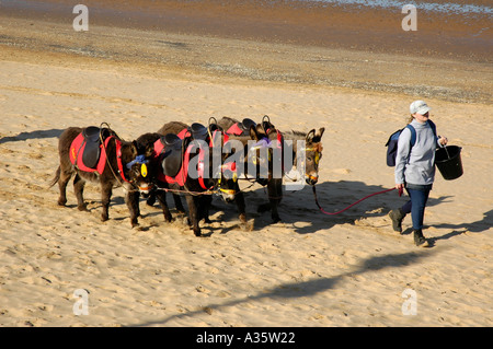 Cleethorpes UK Urlaub Badeort, die Menschen mit Eseln am Strand bei Ebbe Stockfoto