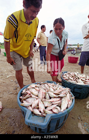 Kaufen Fisch aus Yarinacocha in Puerto Callao. In der Nähe von Pucallpa, Peru, Südamerika. Stockfoto