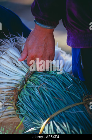Kauf von Gemüse im Markt Wase Provinz Yunnan China Stockfoto