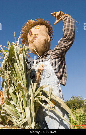 Eine freundlich aussehende Vogelscheuche tragen Overalls, ein Flanellhemd und einen Strohhut. Stockfoto