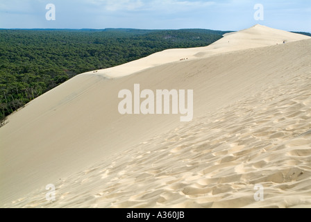 Panoramablick über Pyla große Sanddüne in Frankreich Aquitanien Stockfoto