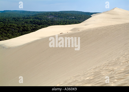 Panoramablick über Pyla große Sanddüne in Frankreich Aquitanien Stockfoto