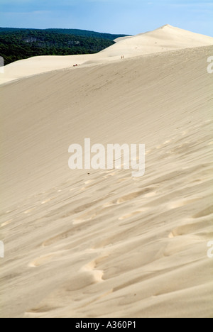 Panoramablick über Pyla große Sanddüne in Frankreich Aquitanien Stockfoto