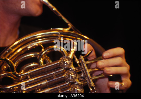 Waldhorn 0175 Stockfoto