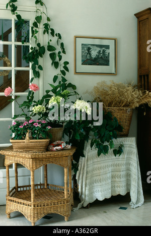 Blühende Zimmerpflanzen auf Zweiklassen Wicker Tisch neben Korb mit Trockenblumen Stockfoto