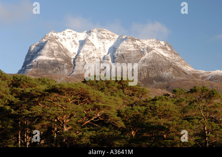 Slioch Berg überragt Loch Maree bei Kinlochewe, Wester Ross in den schottischen Highlands. XPL 4474-423 Stockfoto