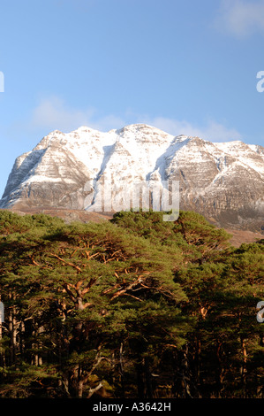 Slioch Berg überragt Loch Maree bei Kinlochewe, Wester Ross in den schottischen Highlands.  XPL 4475-423 Stockfoto